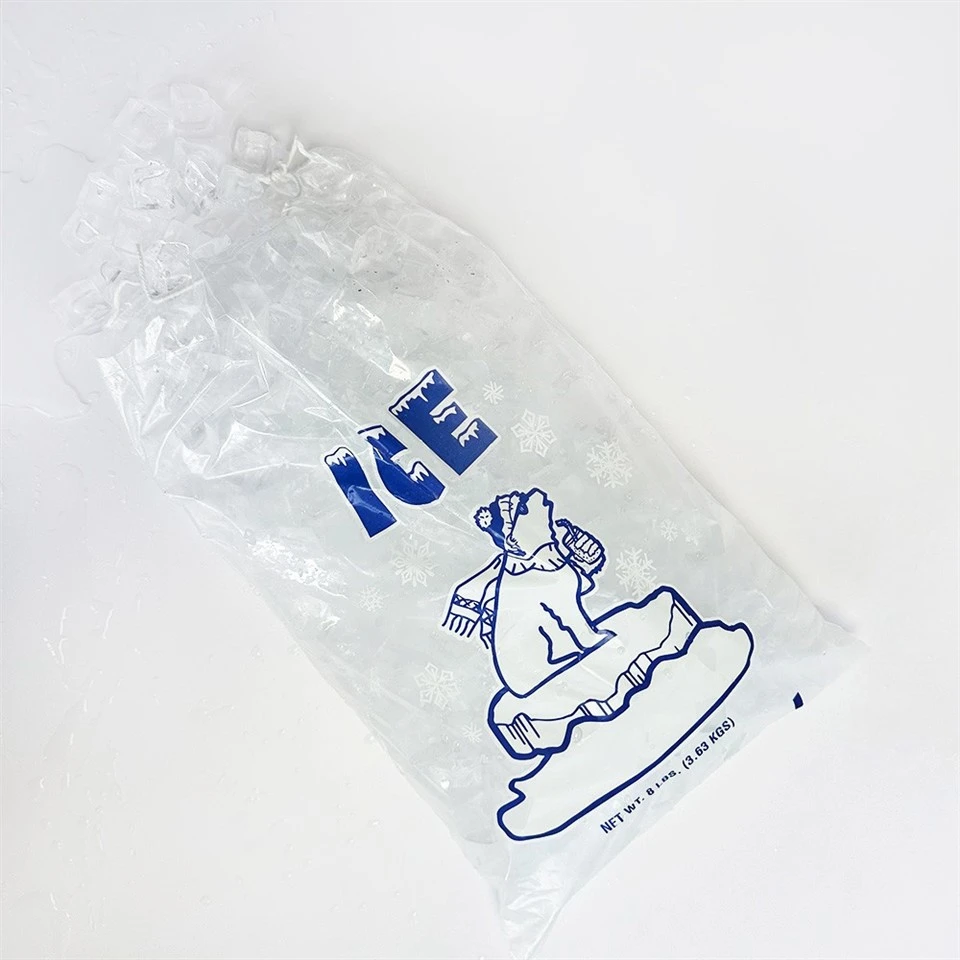disposable ice packs for food disposable ice packs for food